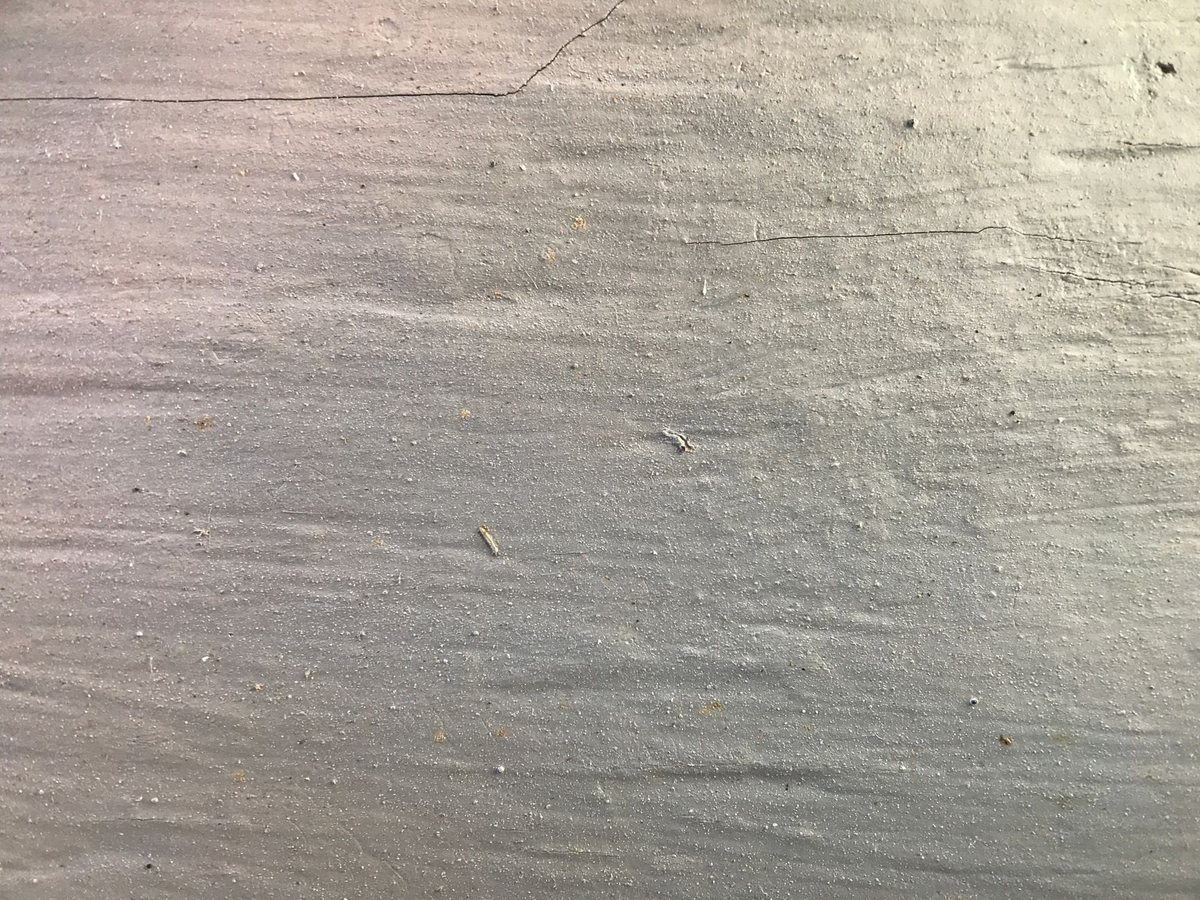 Avant nettoyage : plinthes avec accumulation de poussière visible